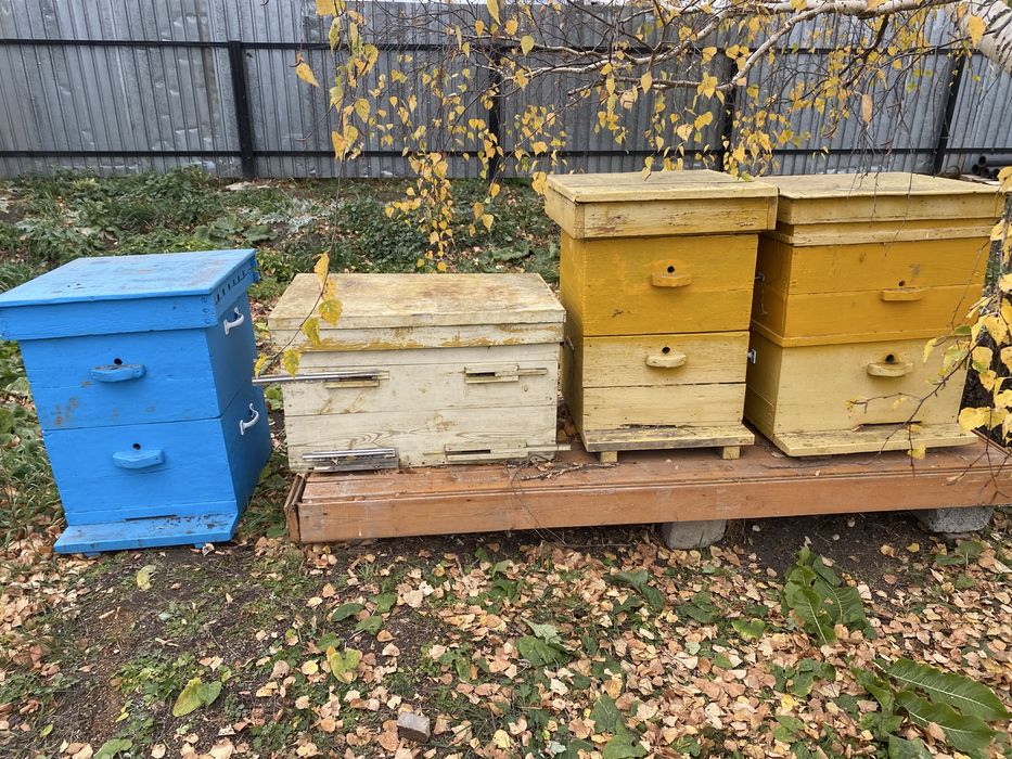 Продам ульи для пчел.