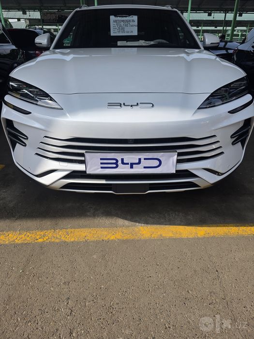 BYD - 2024 Full позиция.