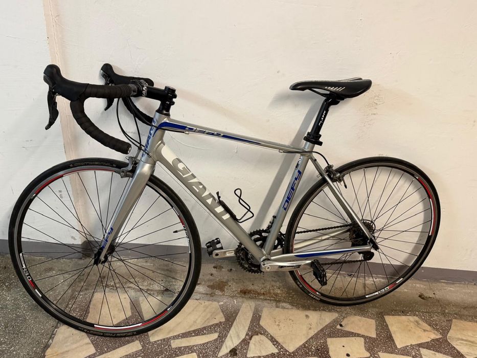 Cursiera Giant 2