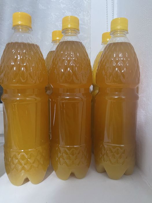 Конский жир жылқының майы