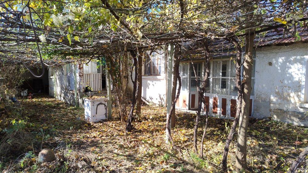 Продава се Къща в с. Дъбово, Област Стара Загора - 150 кв.м за 238 €/кв.м - Снимка #4