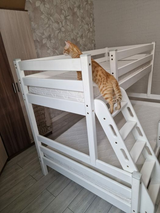Двухэтажная детская кровать