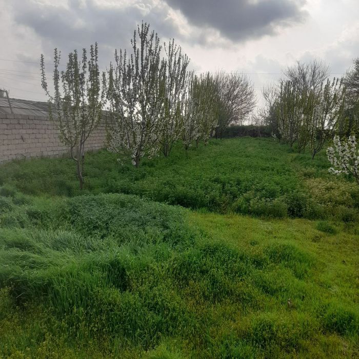 Sirdaryo shaharda uchastka sotiladi 12 sotx