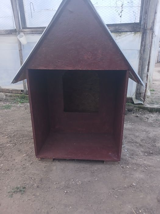 Cușcă câine de talie mare.