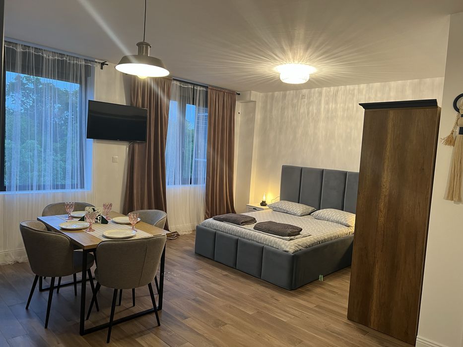 Inchiriez apartament 1 camera, bloc nou, Buzaului, vis-a-vis de parc