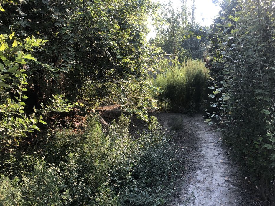 ARZON NARH Hovli joy quruq yer bahosida