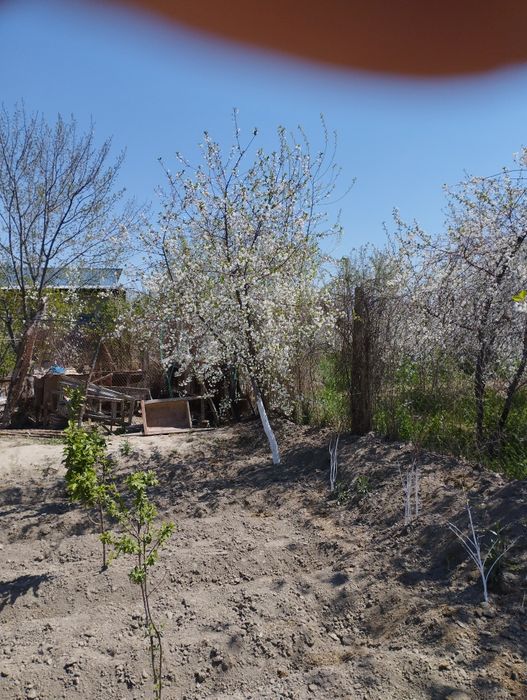 Продается Дачный участок