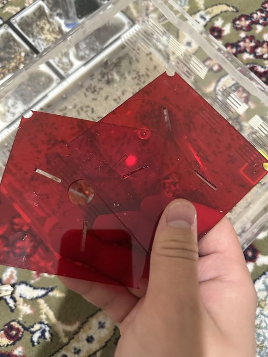 Продам колонию муравьёв-жнецов