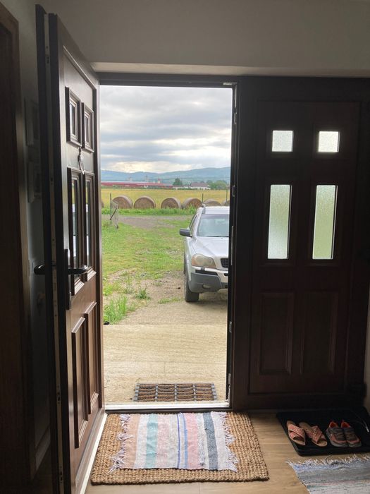 Usa dubla pentru intrare