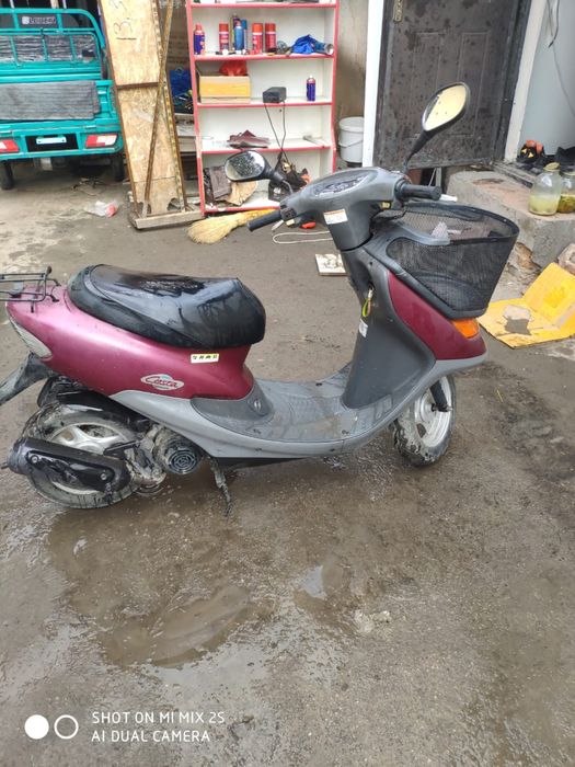 Хонда дио японский