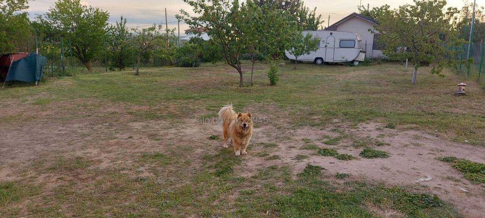 продавам къща варна
