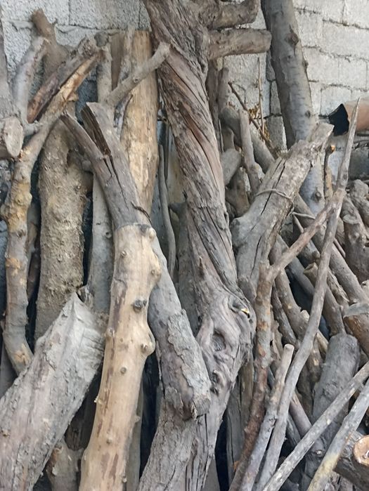 Утин дрова,O'tin