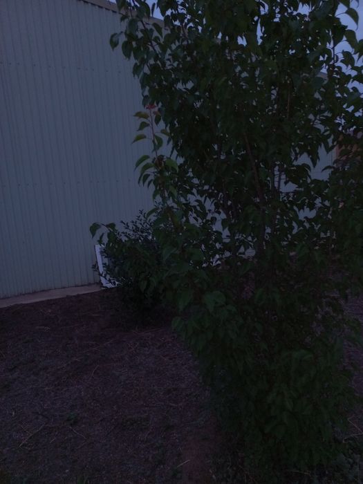 Частный дом и спортзал