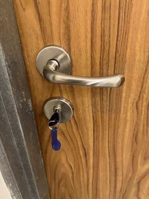 Металическая дверь