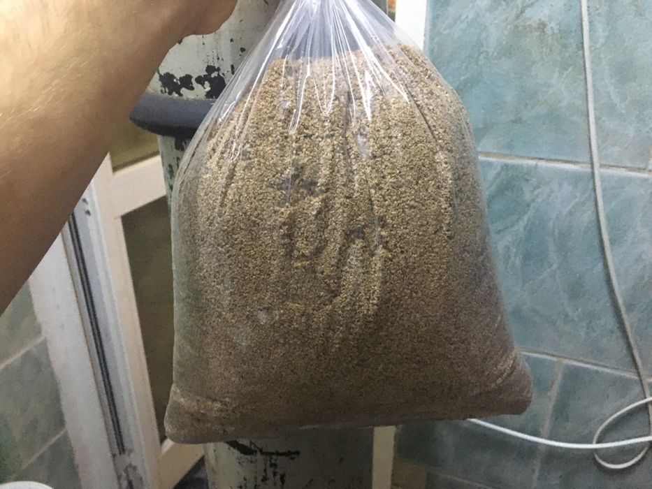 Daphnia -purec uscat la kg Bacau • OLX.ro