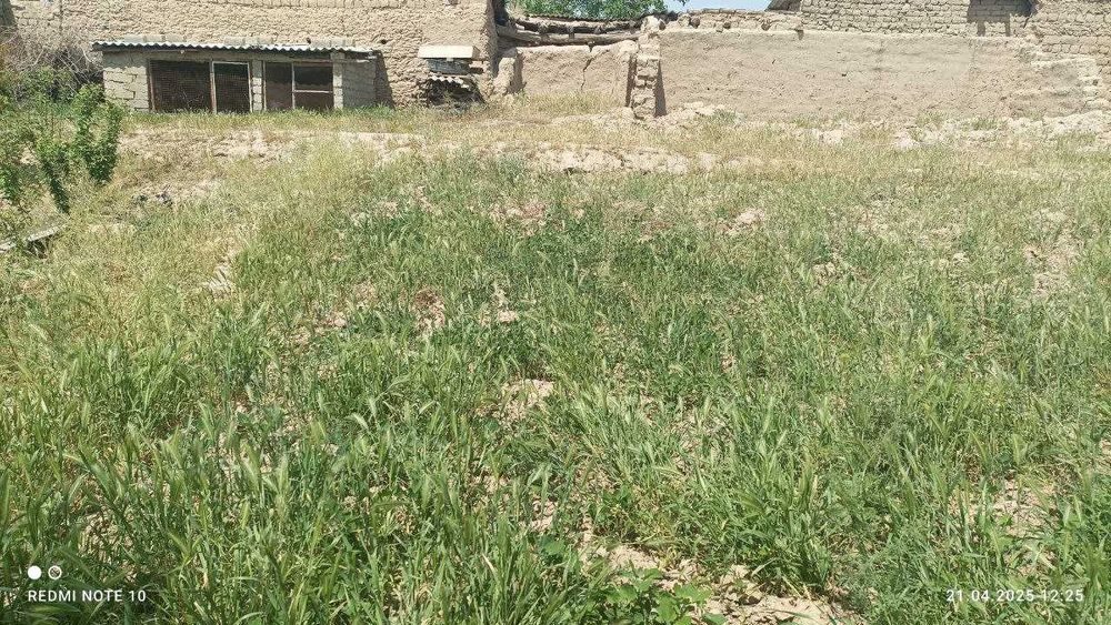 Қарши шахар Арал овул махалласи Тутак кучаси 7 Б-уй