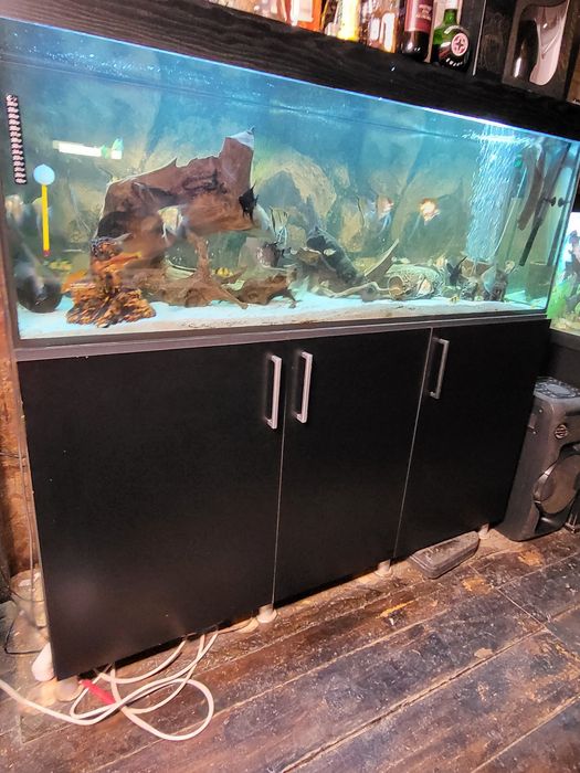Vand acvarii intre 250l si 550l,complet echipate