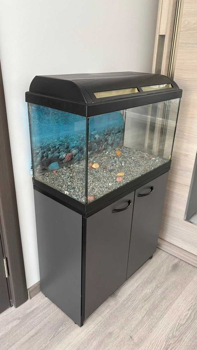 Acvariu 63L cu mobilier – stare foarte bună