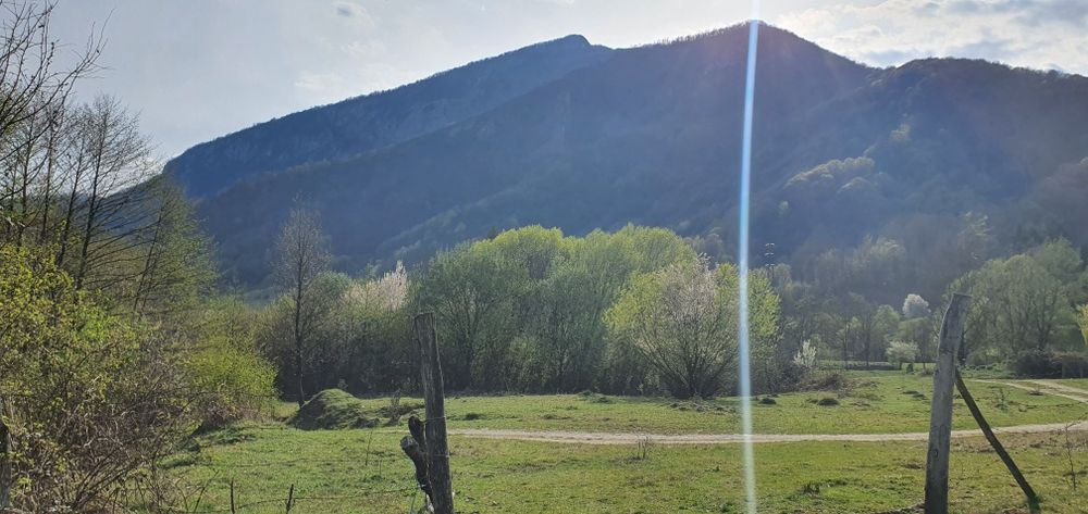Teren intravilan Closani, Gorj,8674 mp pensiune/ casa vacanta