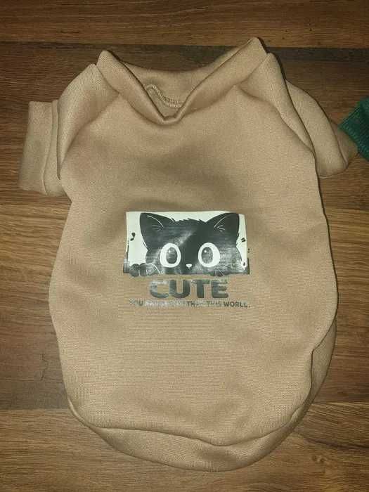 Hainute pentru catei de talie mica/pisici