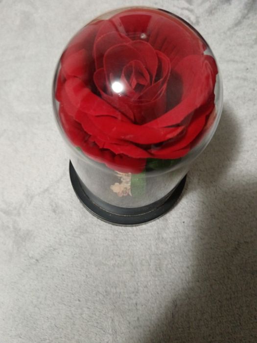 Trandafir în cupola