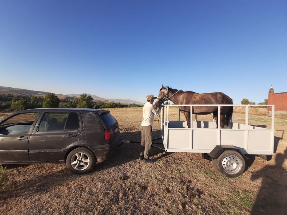 Прицеп машина  новый