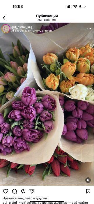 Тюльпаны (свежие)