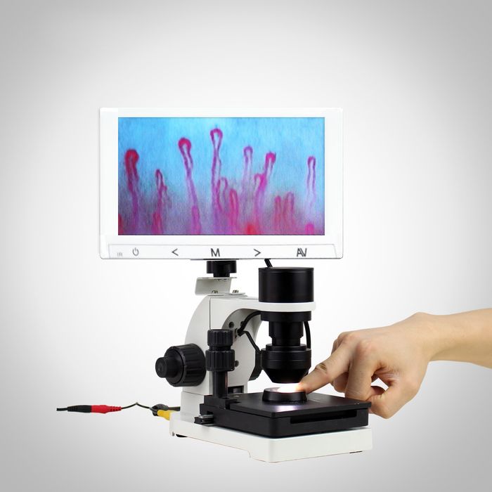 Проверьте свой организм полностью