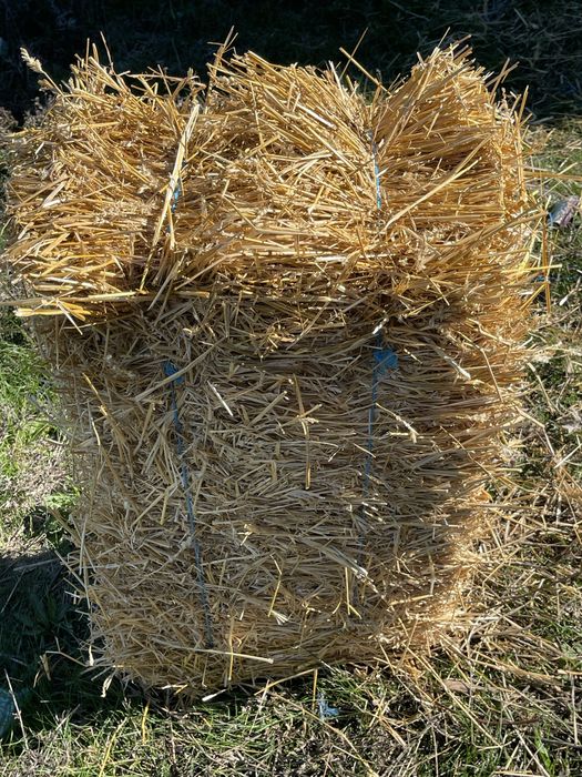 Baloti de baie mai multe detali la tel