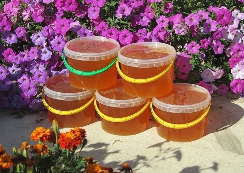 Продам мёд Катон-Карагайский