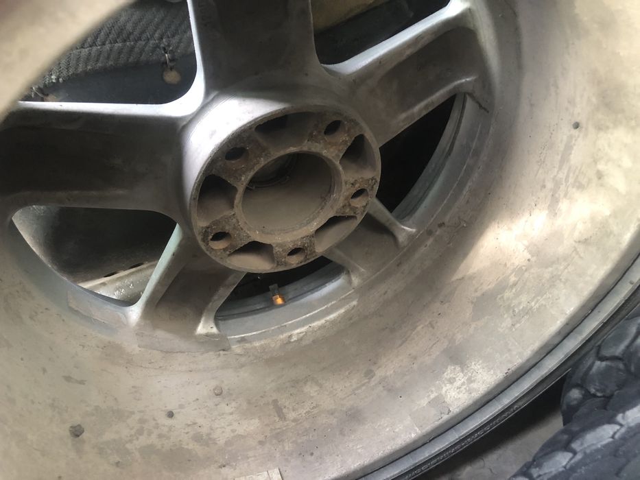 Продам Шницера 17 размер с балонами