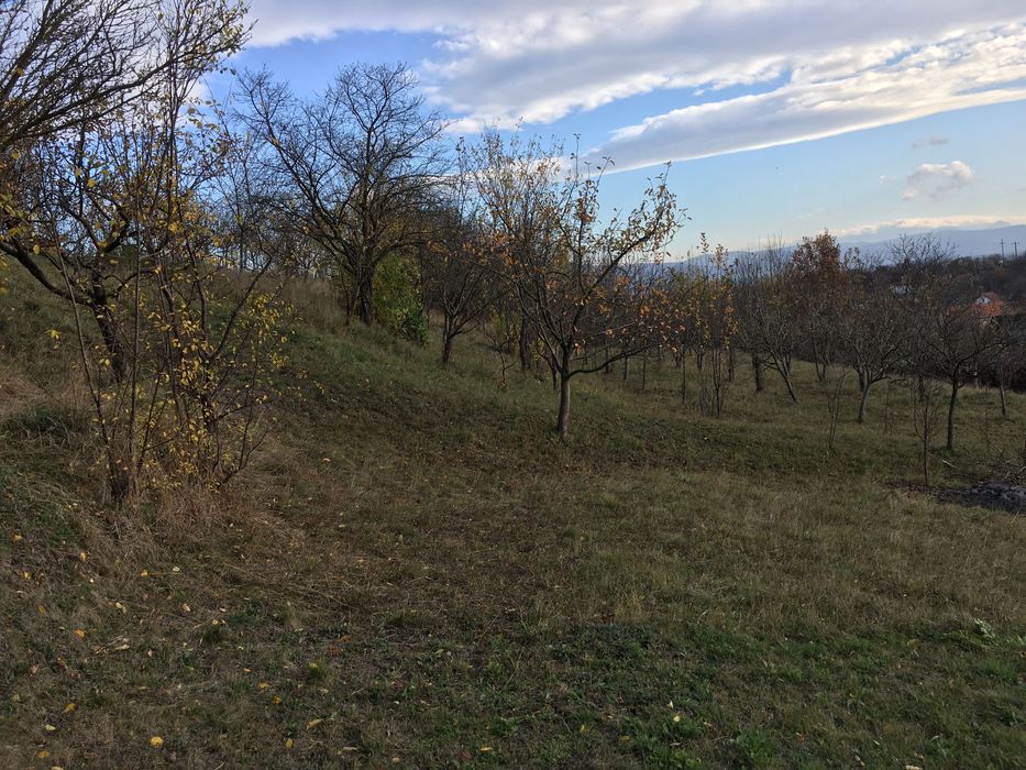 teren intravilan Sâncraiu, 4600 mp de vânzare
