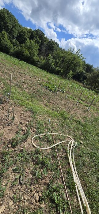 Vand furtun de gradina
