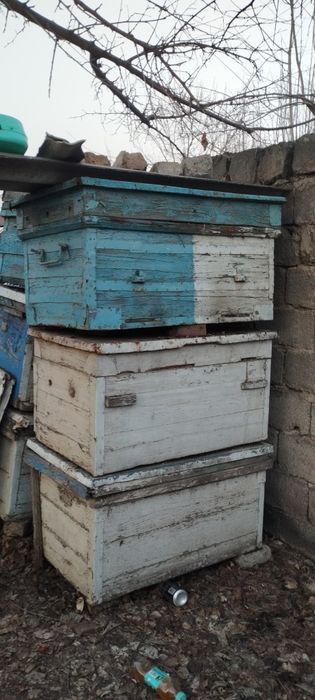 Улья 16ти рамочные