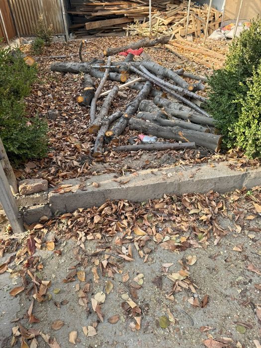 Дрова Отын Дрова