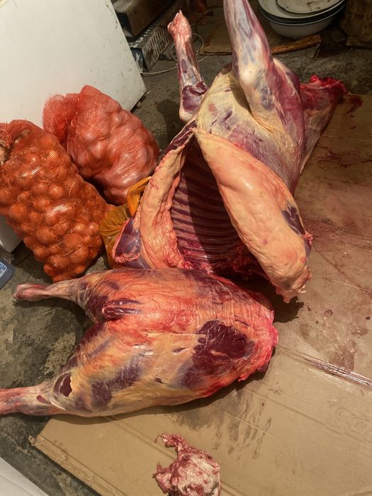 тай сатылады жетыконырдын