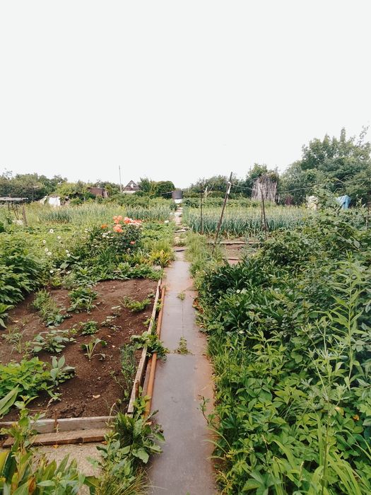 Продажа дачного участка