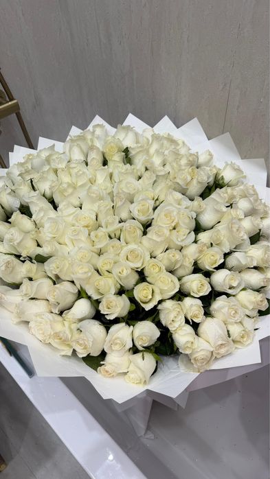 белые розы 151 штук