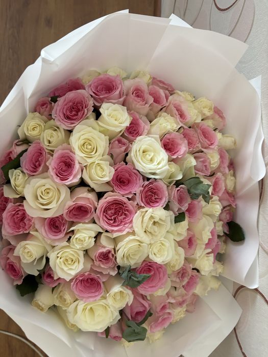 розаааа тока сегодня купили,101!!!