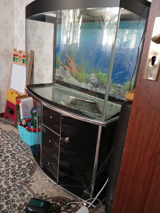 Аквариум сотилад холати коникарли четида азига теги бор лекин арзонга