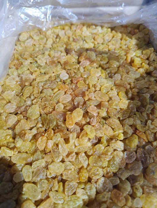 Стафида Тъмна/Златна - 5 кг кашони