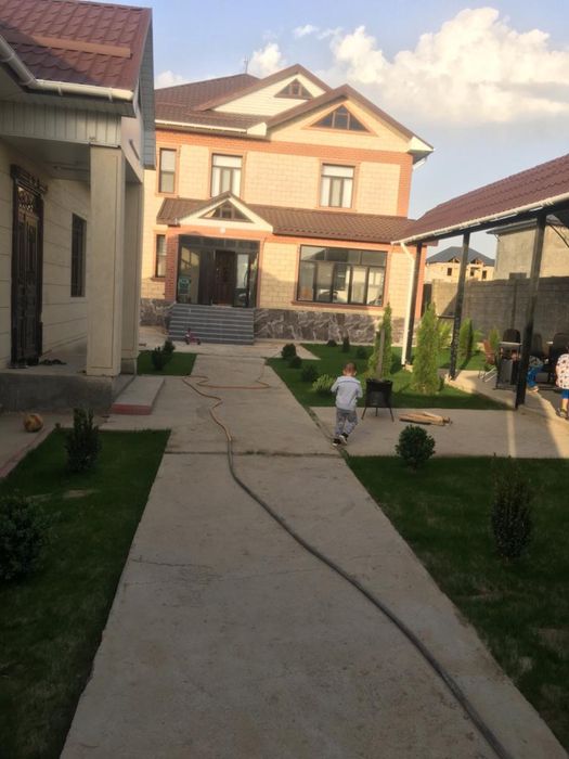 Газон автополив