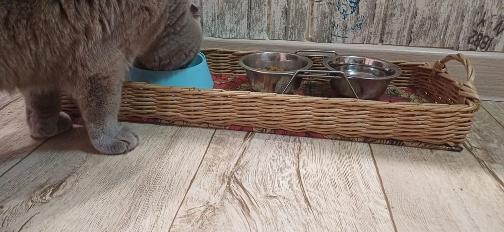 Кормушка для котиков и мелких собак