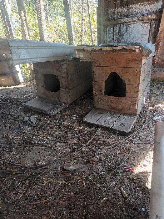 Cusca câine talie mare, 2 bucăți