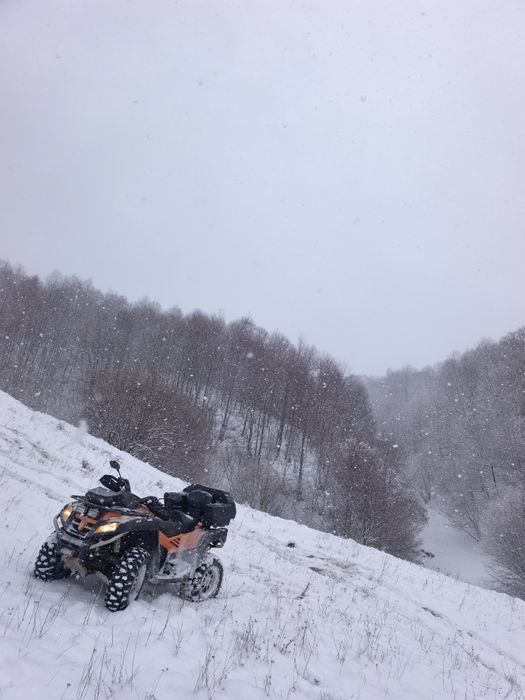 Atv Cf Moto 800 terralander
