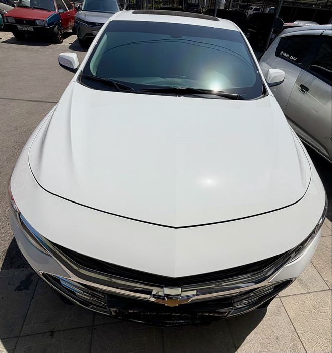 Своя Malibu Premier 2023/2022