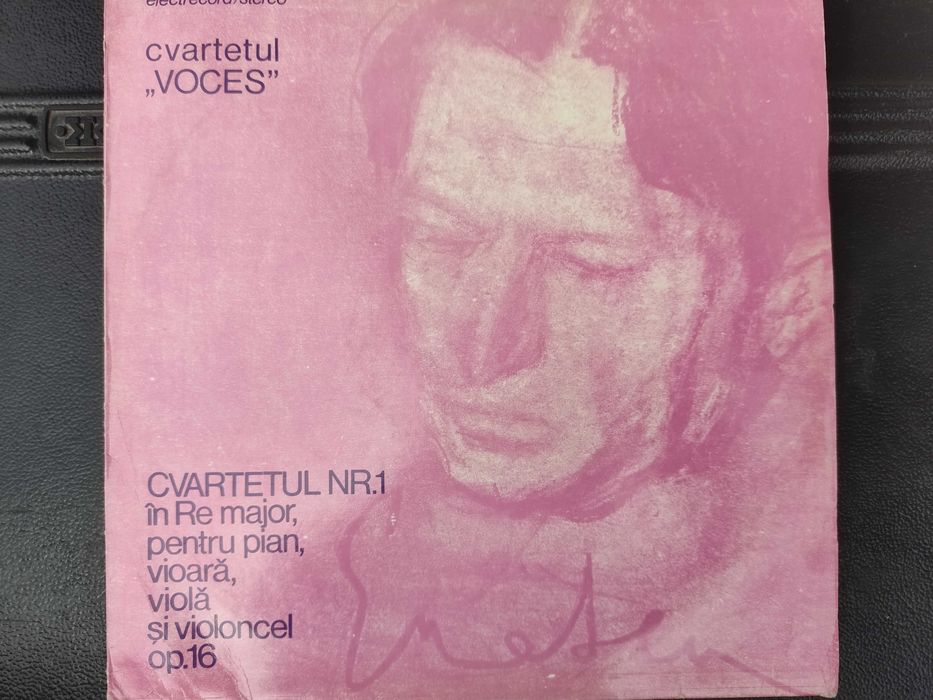 Discuri vinil si CD-uri muzica