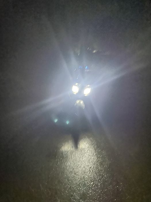 olinganga 5 oy bulgan