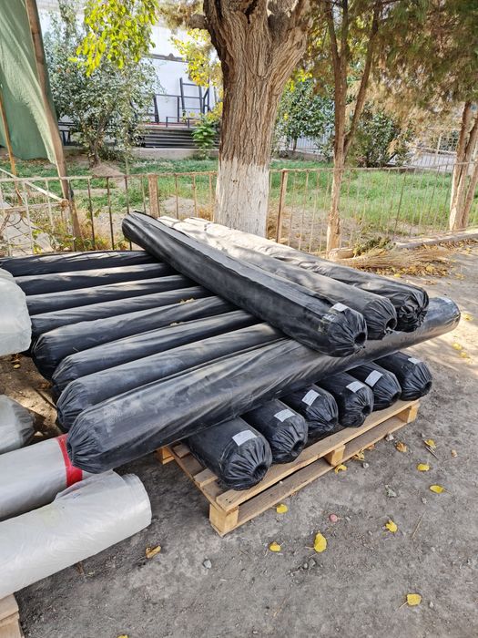 Oq ва коро кленка оптим