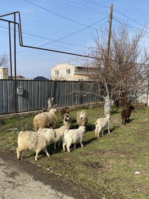 Срочно нужны деньги